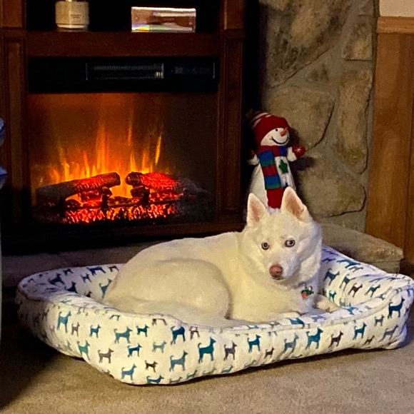 Meet your Posher, Wendy - Picture 1 of 1